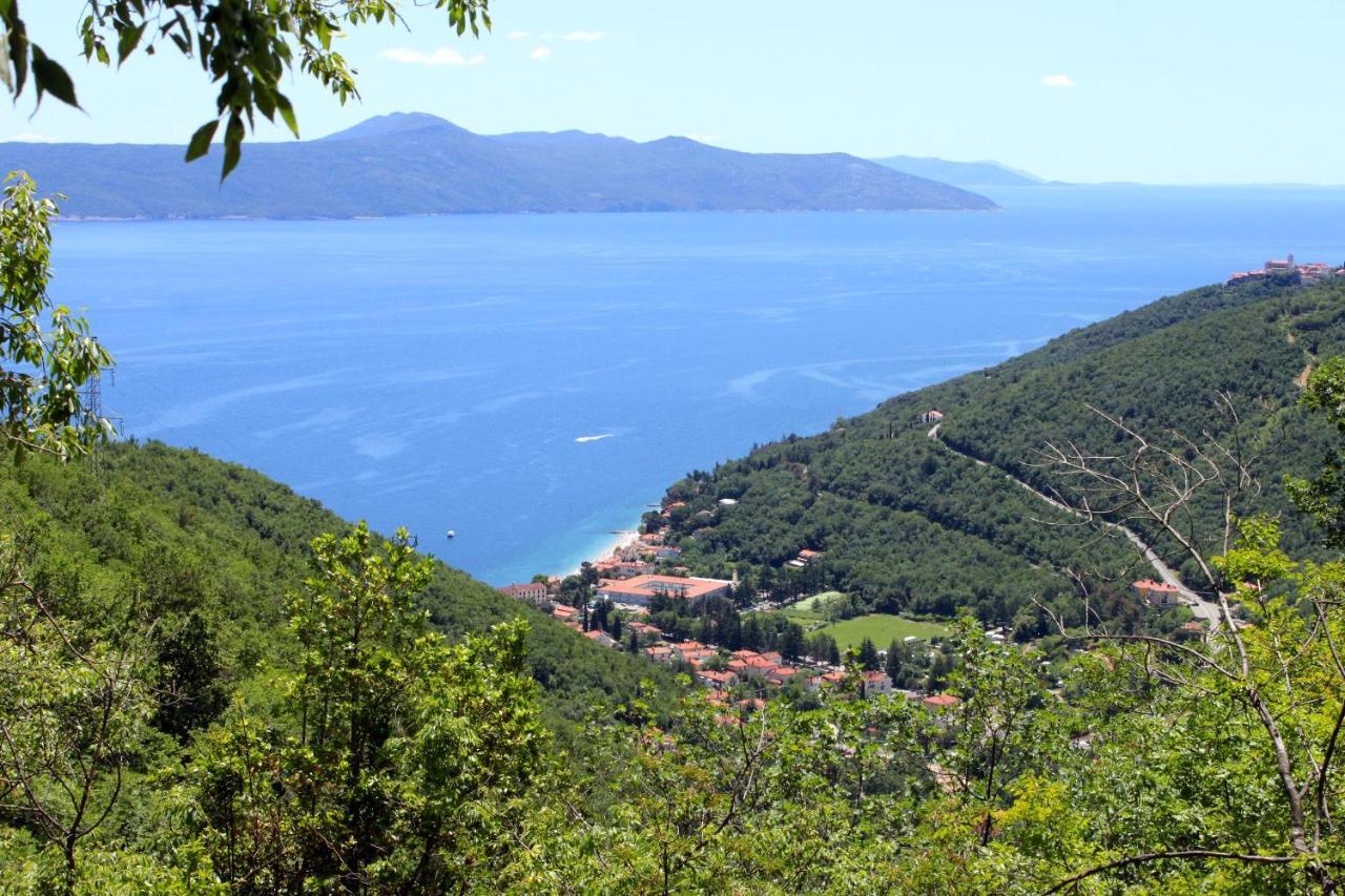 Apartments With A Parking Space Moscenicka Draga, Opatija - 7766 Eksteriør billede